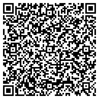 QR-код с контактной информацией организации Блеск
