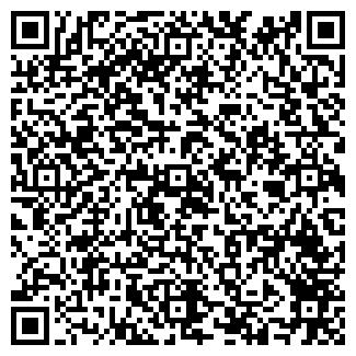 QR-код с контактной информацией организации ООО «Тензор»