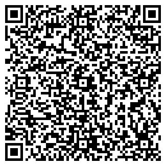 QR-код с контактной информацией организации ООО Гараж