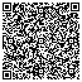 QR-код с контактной информацией организации ДИСК, ГСК