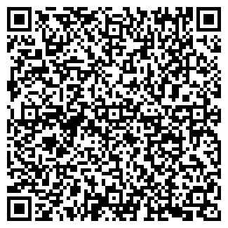 QR-код с контактной информацией организации ИП Лямзин М.П.