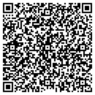 QR-код с контактной информацией организации Алина