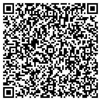 QR-код с контактной информацией организации ООО В Пути