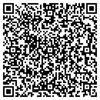 QR-код с контактной информацией организации ИП Фатеев Г.В.