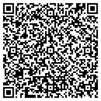 QR-код с контактной информацией организации ИП Власенко Е.М.