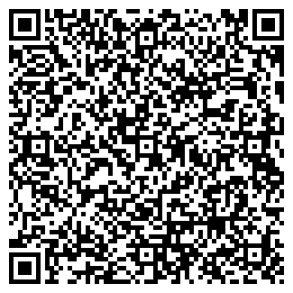 QR-код с контактной информацией организации Магазин дисков на ул. Фрунзе, 7Б