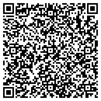 QR-код с контактной информацией организации Молния
