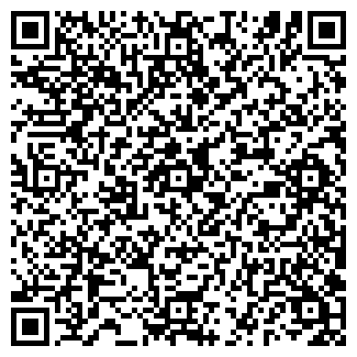 QR-код с контактной информацией организации Лейла
