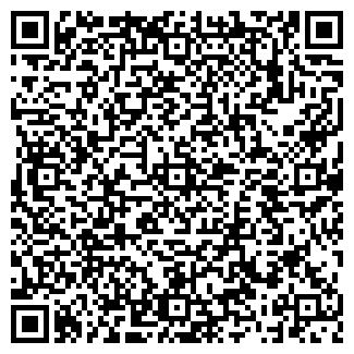 QR-код с контактной информацией организации Причал