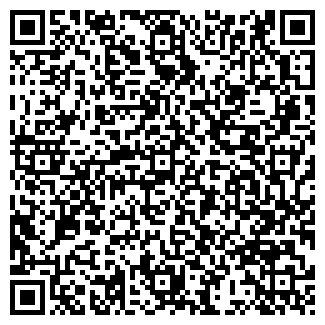QR-код с контактной информацией организации Гимназия №115