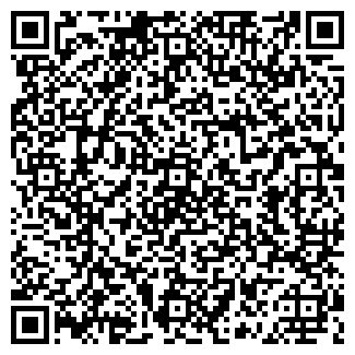 QR-код с контактной информацией организации Князь-Владимирский храм
