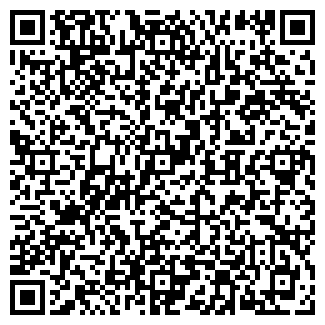 QR-код с контактной информацией организации Детский сад №229