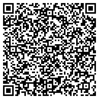 QR-код с контактной информацией организации Детский сад №13