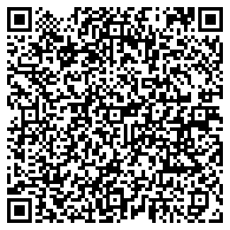QR-код с контактной информацией организации Детский сад №97