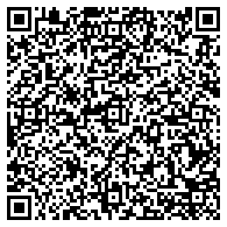QR-код с контактной информацией организации Детский сад №242