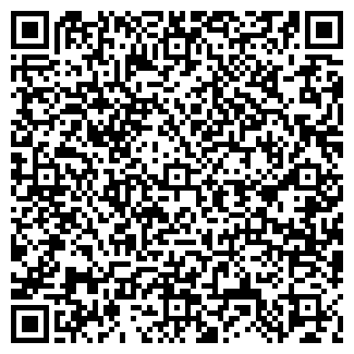 QR-код с контактной информацией организации Детский сад №163