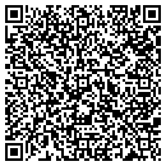 QR-код с контактной информацией организации Детский сад №294