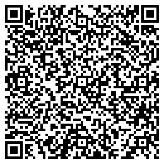 QR-код с контактной информацией организации ИП Михейлис В.А.