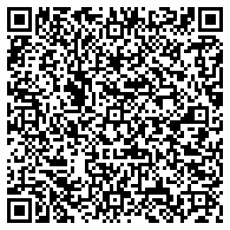 QR-код с контактной информацией организации Детский сад №133