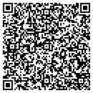 QR-код с контактной информацией организации Детский сад №203