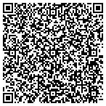 QR-код с контактной информацией организации Детская школа искусств
