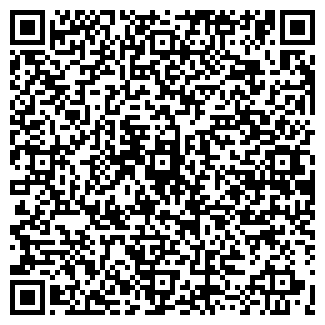 QR-код с контактной информацией организации Версия