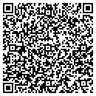 QR-код с контактной информацией организации Детский сад №91