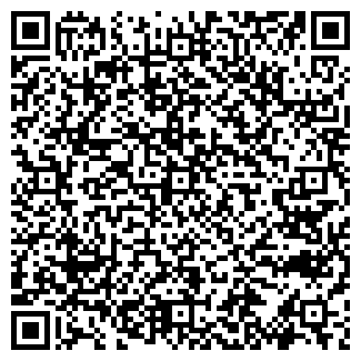 QR-код с контактной информацией организации ШАПКИНА Л.А. ИП