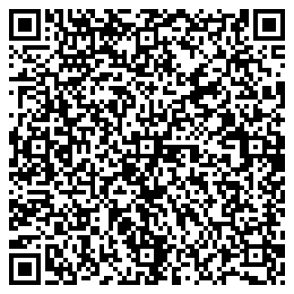 QR-код с контактной информацией организации ИП Ткаченко С.Н.
