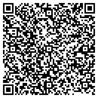QR-код с контактной информацией организации Автомойка на Ленинской, 166а
