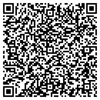 QR-код с контактной информацией организации «Регионинфо»