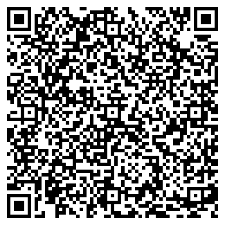 QR-код с контактной информацией организации Venezia