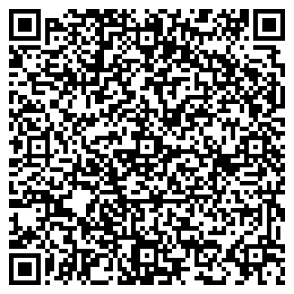 QR-код с контактной информацией организации БЕГЕМОТиК