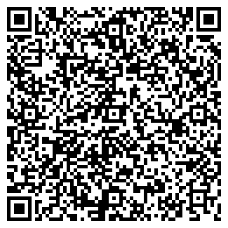 QR-код с контактной информацией организации Бар на Горсоветской, 17а