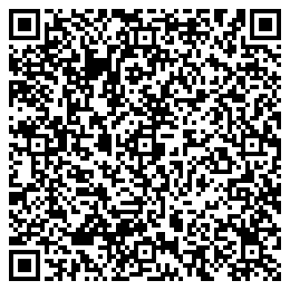 QR-код с контактной информацией организации ООО «Ресторан.ру»