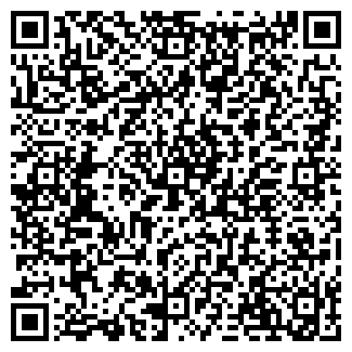 QR-код с контактной информацией организации Лето, бар, ООО Май