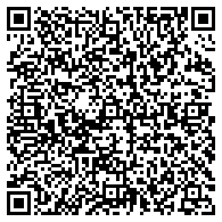 QR-код с контактной информацией организации Storm