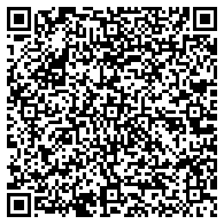 QR-код с контактной информацией организации Drive