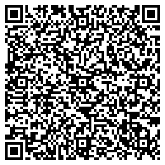 QR-код с контактной информацией организации ИП Бабкина С.А.