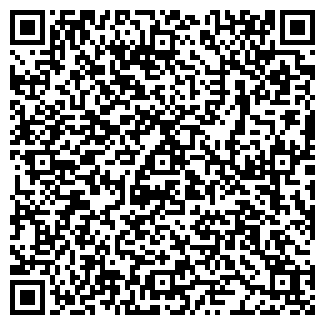 QR-код с контактной информацией организации ИП Князева И.Р.