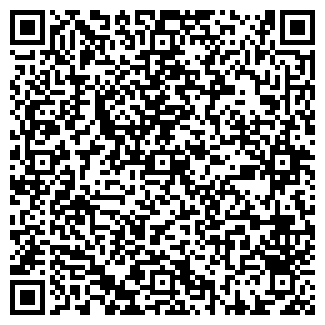 QR-код с контактной информацией организации РАДАЕВА ИП