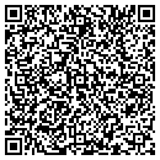 QR-код с контактной информацией организации Бла-Бла, бар-караоке