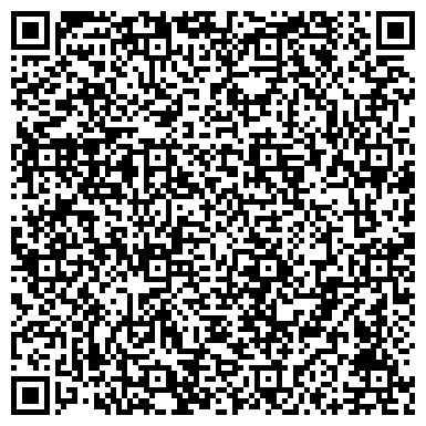 QR-код с контактной информацией организации ЭлЛиза, ювелирная мастерская, ИП Борян В.С.