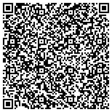 QR-код с контактной информацией организации БОРЕЙ ЛИЗИНГОВАЯ КОМПАНИЯ, ООО