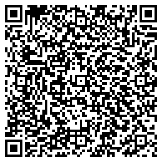 QR-код с контактной информацией организации Версия