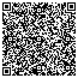 QR-код с контактной информацией организации Лиза