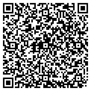 QR-код с контактной информацией организации 12 игрок