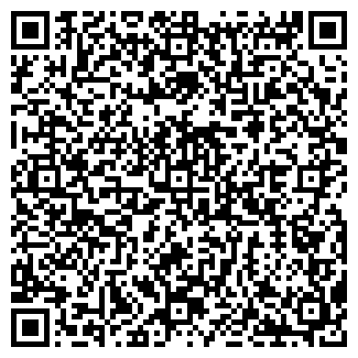 QR-код с контактной информацией организации Алина, кафе, ООО Нарис