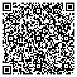 QR-код с контактной информацией организации Чишме