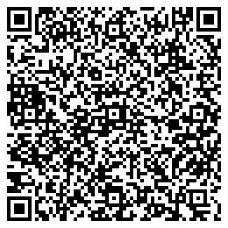 QR-код с контактной информацией организации Чишме